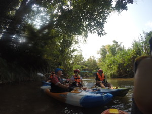 DCIM100GOPRO