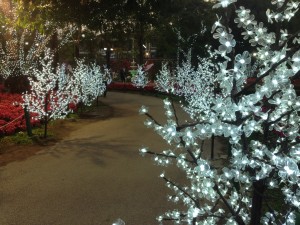 IMG_3034