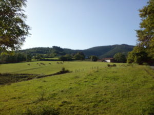 landschaft