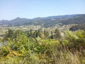 weites-land