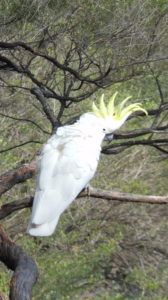 dscn5494