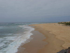 dscn5532