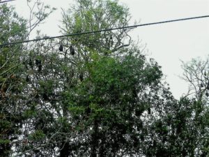 DSCN5625