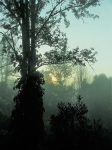 DSCN5633